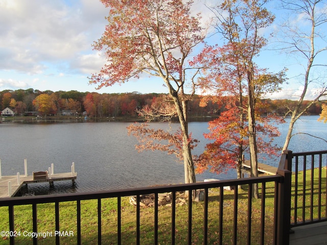 property view of water with a dock