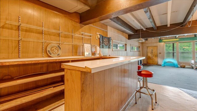 300 Indian Lake Trl, White Haven, PA 18661 - indoor dry bar featuring wooden walls and carpet flooring