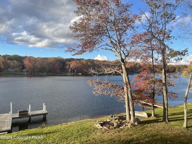 property view of water with a dock