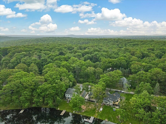 300 Indian Lake Trl, White Haven, PA 18661 - bird's eye view of a forest