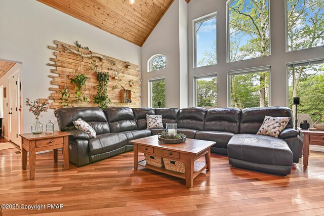 living room featuring high vaulted ceiling, light hardwood / wood-style floors, and a wealth of natural light