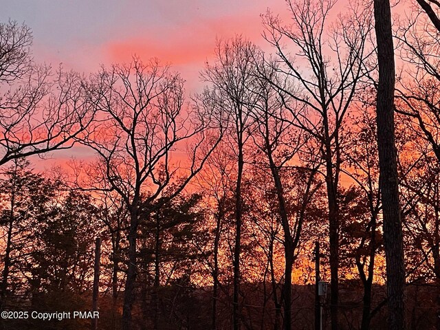 view of nature at dusk