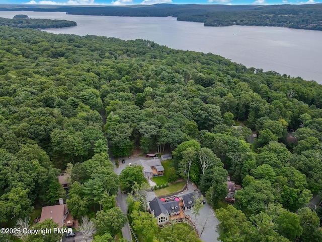 birds eye view of property with a water view and a view of trees