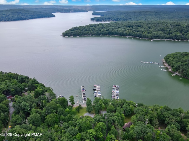 aerial view featuring a water view and a forest view