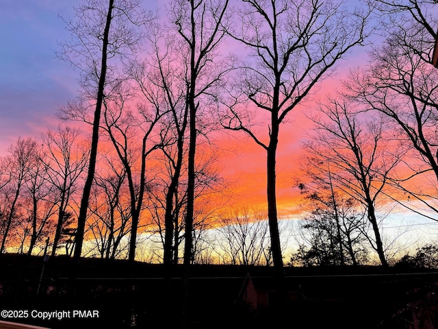 view of nature at dusk