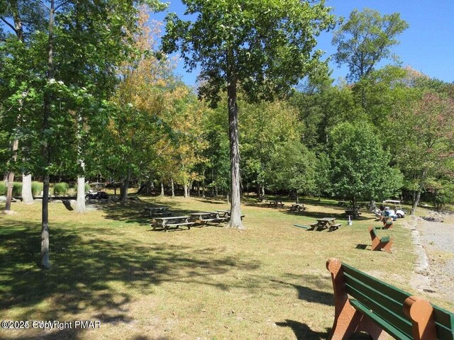 view of property's community with a yard