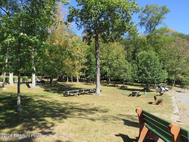 view of property's community featuring a lawn