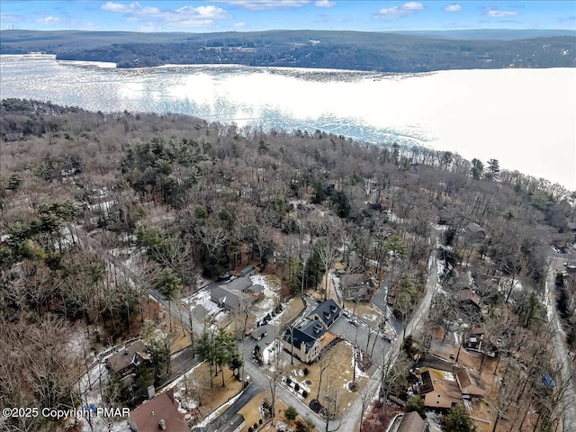 birds eye view of property featuring a water view and a forest view