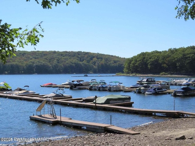 view of dock with a water view and a wooded view