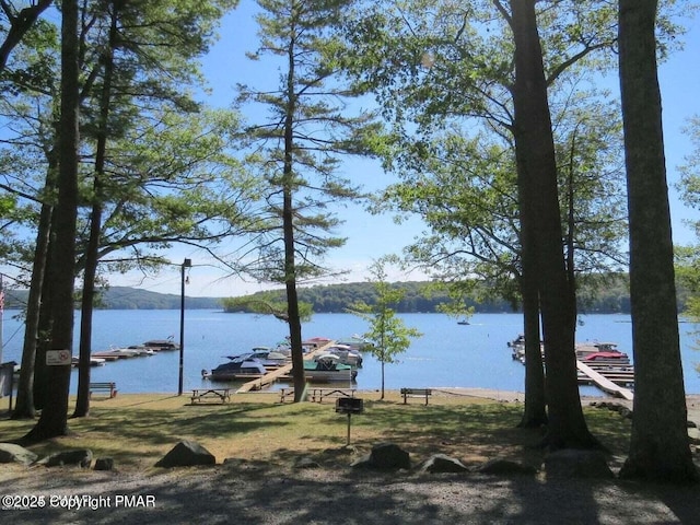 water view featuring a boat dock