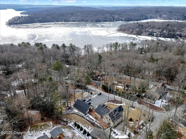 bird's eye view with a forest view