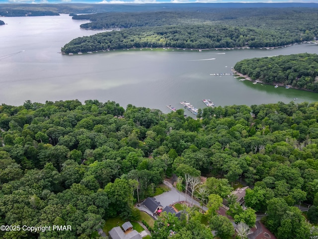 drone / aerial view with a water view and a forest view