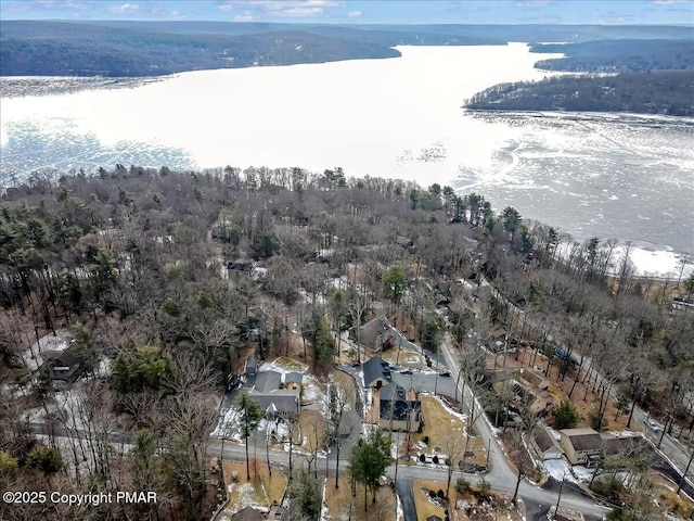 aerial view featuring a forest view