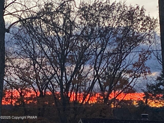 view of nature at dusk