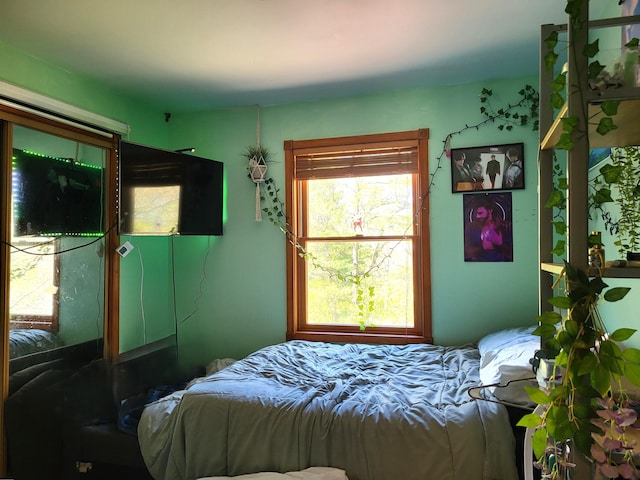 74 Split Rock Rd, Lake Harmony, PA 18624 - view of bedroom