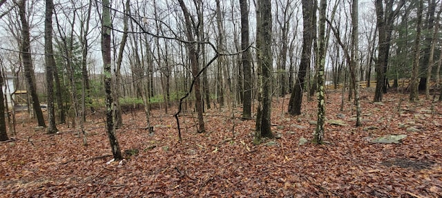 A384 Sunset Dr, Jim Thorpe, PA 18229