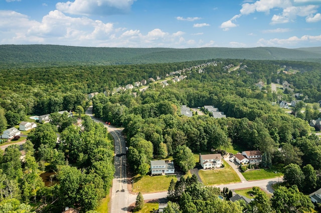 14 Basswood Dr, Mountain Top, PA 18707 - photo 50