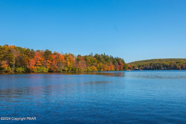 151 S Lake Dr, Lake Harmony, PA 18624 - view of water feature featuring a forest view