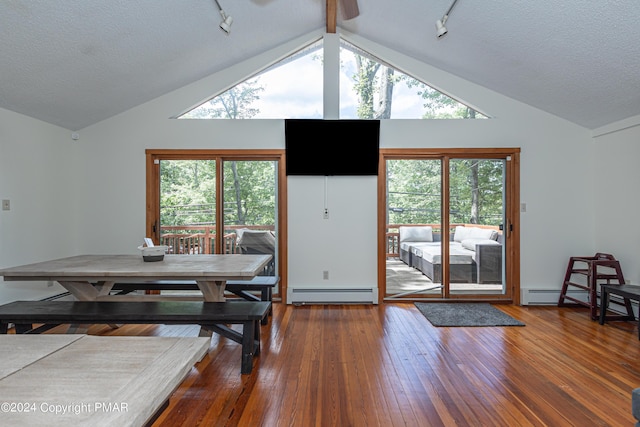 dining room with plenty of natural light, a baseboard radiator, hardwood / wood-style flooring, and track lighting