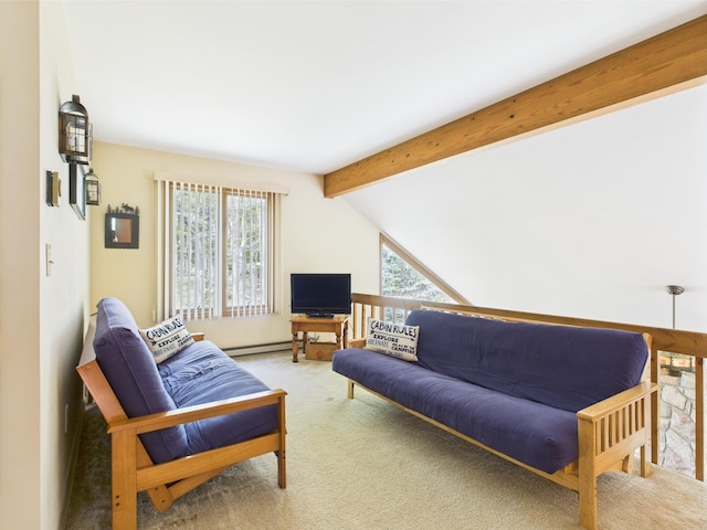 5541 Fox Rd, Pocono Pines, PA 18350 - carpeted living area with a baseboard radiator