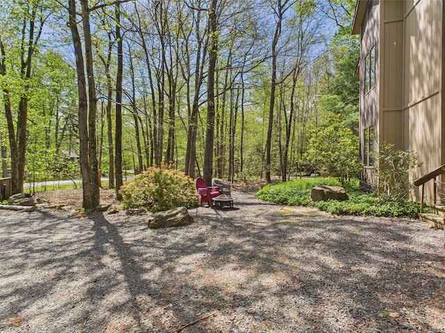 5541 Fox Rd, Pocono Pines, PA 18350 - view of yard