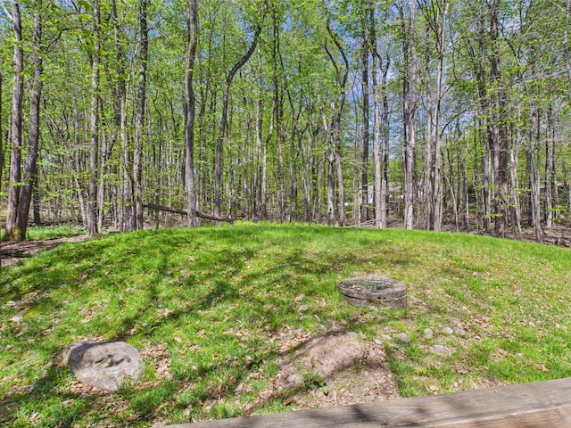 5541 Fox Rd, Pocono Pines, PA 18350 - view of yard with a forest view