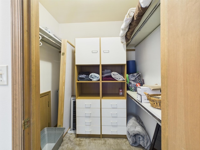 5541 Fox Rd, Pocono Pines, PA 18350 - spacious closet with light carpet