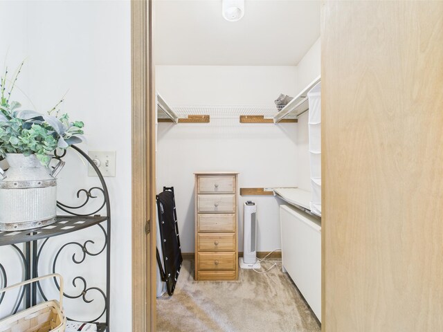 5541 Fox Rd, Pocono Pines, PA 18350 - spacious closet featuring light colored carpet