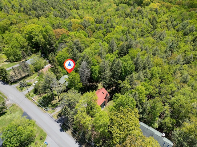 1249 Country Club Dr, Thornhurst, PA 18424 - photo 10
