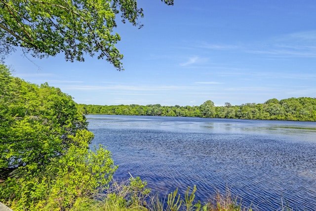 210 Egret Way E, Stroudsburg, PA 18302 - water view featuring a forest