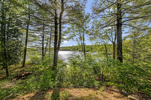 210 Egret Way E, Stroudsburg, PA 18302 - water view with a heavily wooded area