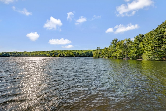 210 Egret Way E, Stroudsburg, PA 18302 - water view featuring a heavily wooded area