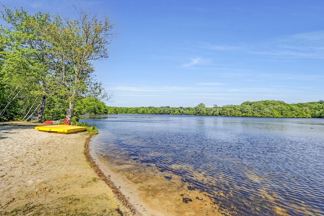210 Egret Way E, Stroudsburg, PA 18302 - water view featuring a forest