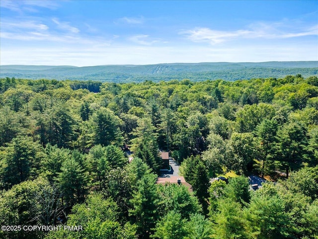 210 Egret Way E, Stroudsburg, PA 18302 - photo 188