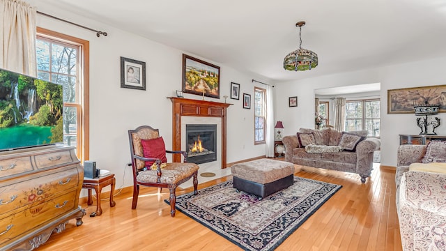 living room with baseboards, light wood finished floors, and a premium fireplace