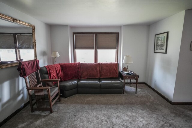 569 Lafayette Ave, Palmerton, PA 18071 - living room with carpet flooring and baseboards