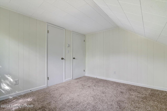 additional living space featuring carpet floors and lofted ceiling