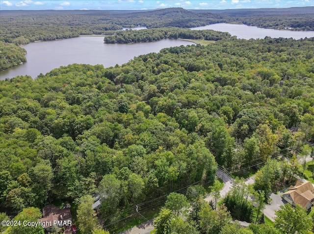 aerial view featuring a water view and a forest view