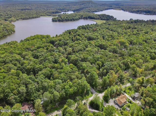 birds eye view of property with a water view and a forest view