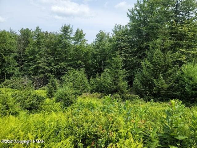 Hermit Thrush Rd, Pocono Pines PA, 18350 land for sale