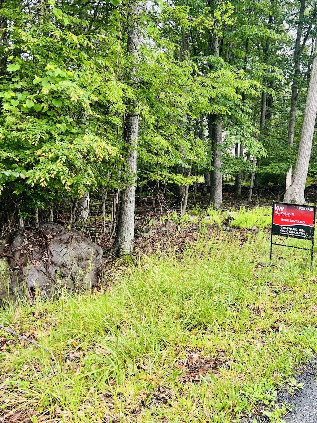 T556 Wooddale Rd, East Stroudsburg, PA 18302