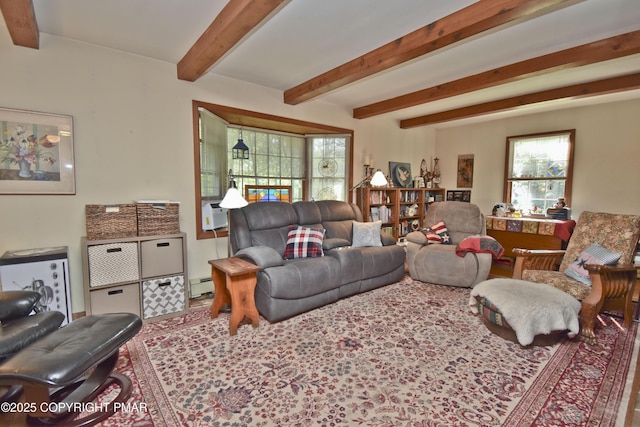 4462 Woodside Dr, East Stroudsburg, PA 18301 - living area with beam ceiling and baseboard heating