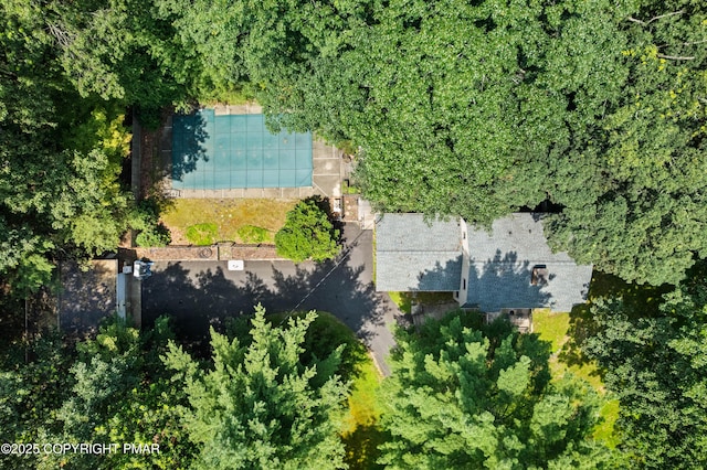 4462 Woodside Dr, East Stroudsburg, PA 18301 - view from above of property with a pool