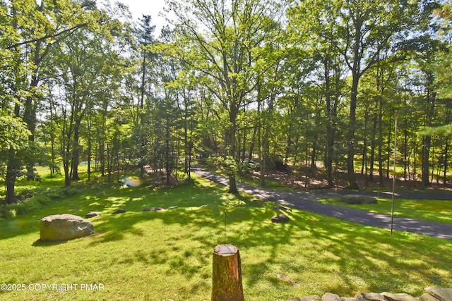 4462 Woodside Dr, East Stroudsburg, PA 18301 - view of grassy yard