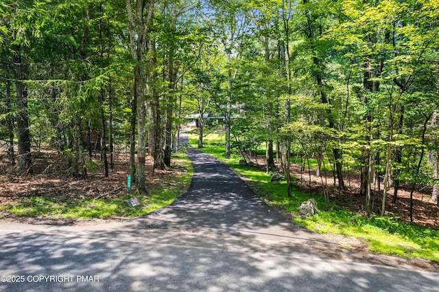 4462 Woodside Dr, East Stroudsburg, PA 18301 - view of street