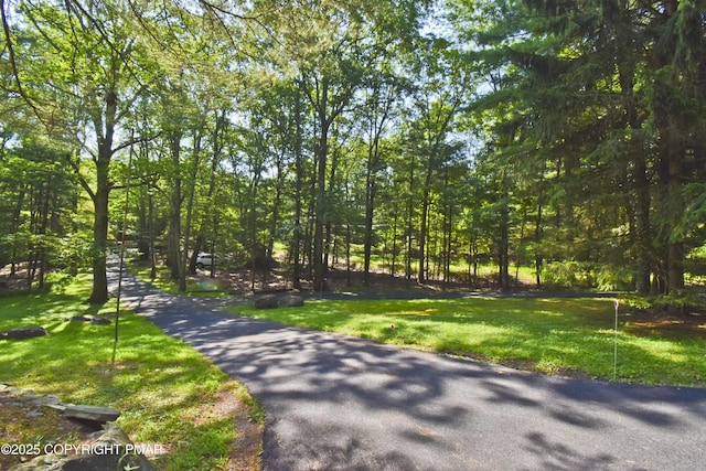4462 Woodside Dr, East Stroudsburg, PA 18301 - surrounding community with a lawn