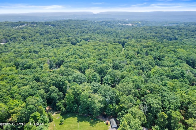 4462 Woodside Dr, East Stroudsburg, PA 18301 - bird's eye view of a forest