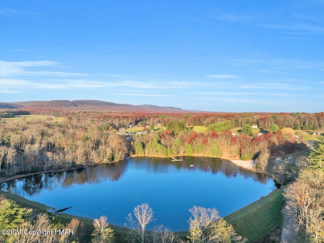 birds eye view of property with a water and mountain view and a wooded view