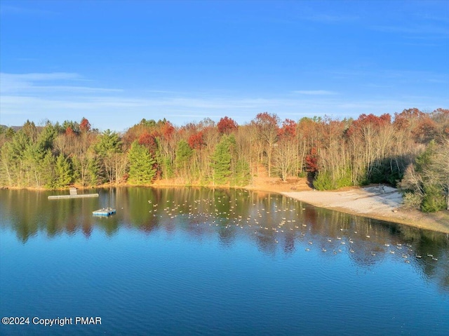 water view featuring a view of trees