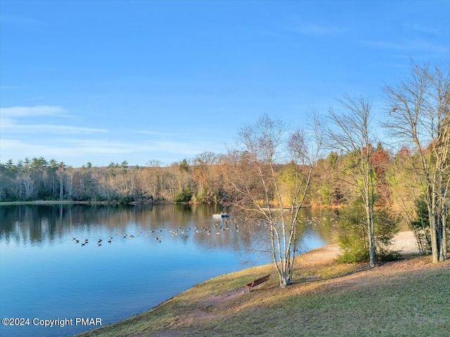 property view of water with a forest view